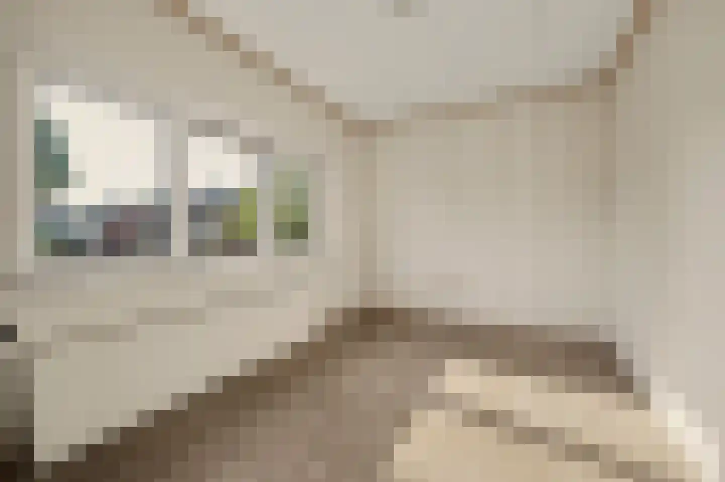 Laan van Ravenschot 4 Waspik thumbnail 13