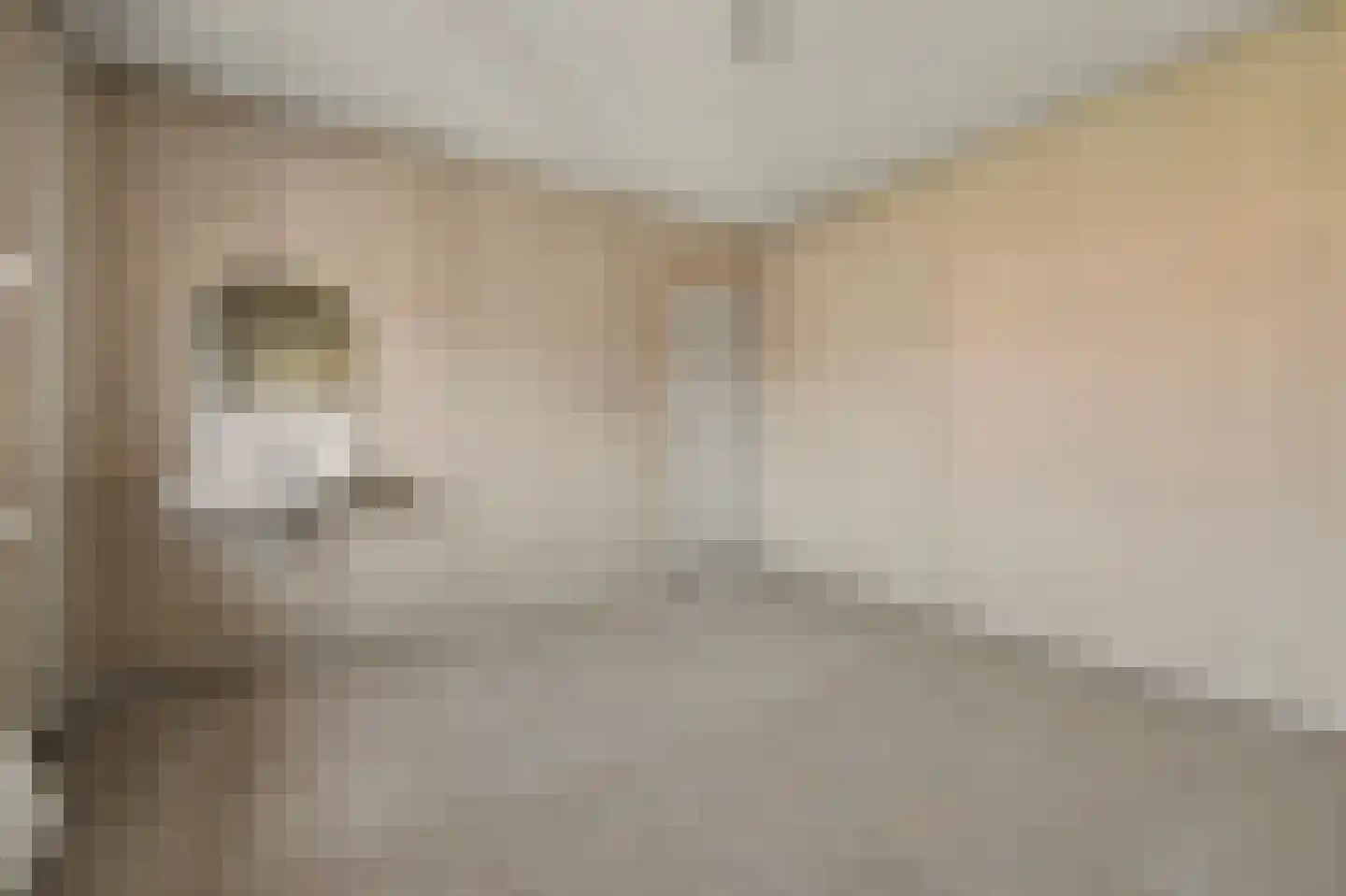 Laan van Ravenschot 4 Waspik thumbnail 18