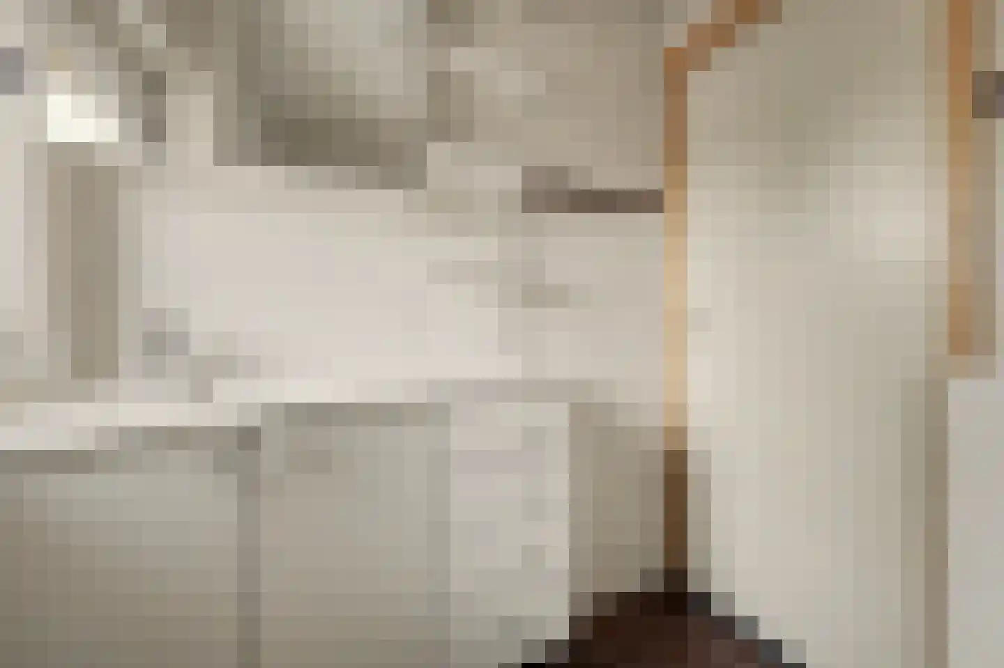 Laan van Ravenschot 4 Waspik thumbnail 19
