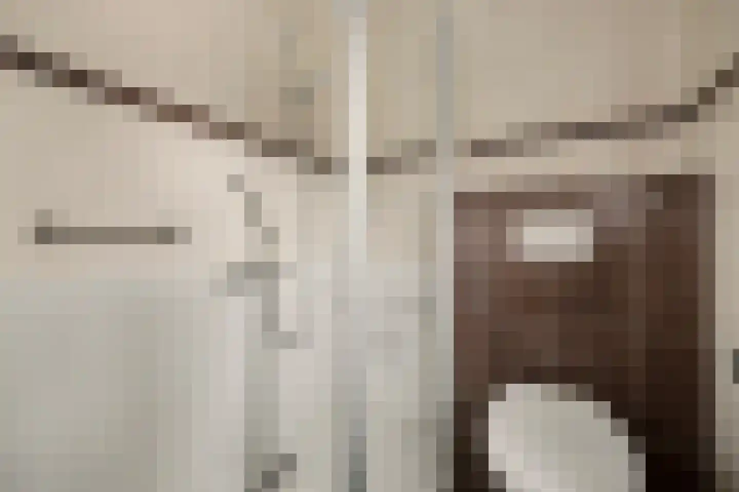 Laan van Ravenschot 4 Waspik thumbnail 20