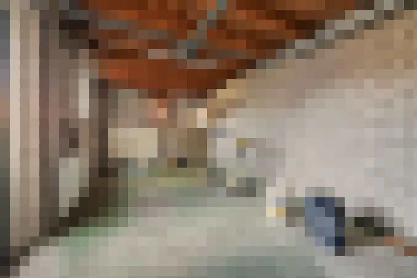 Laan van Ravenschot 4 Waspik thumbnail 22