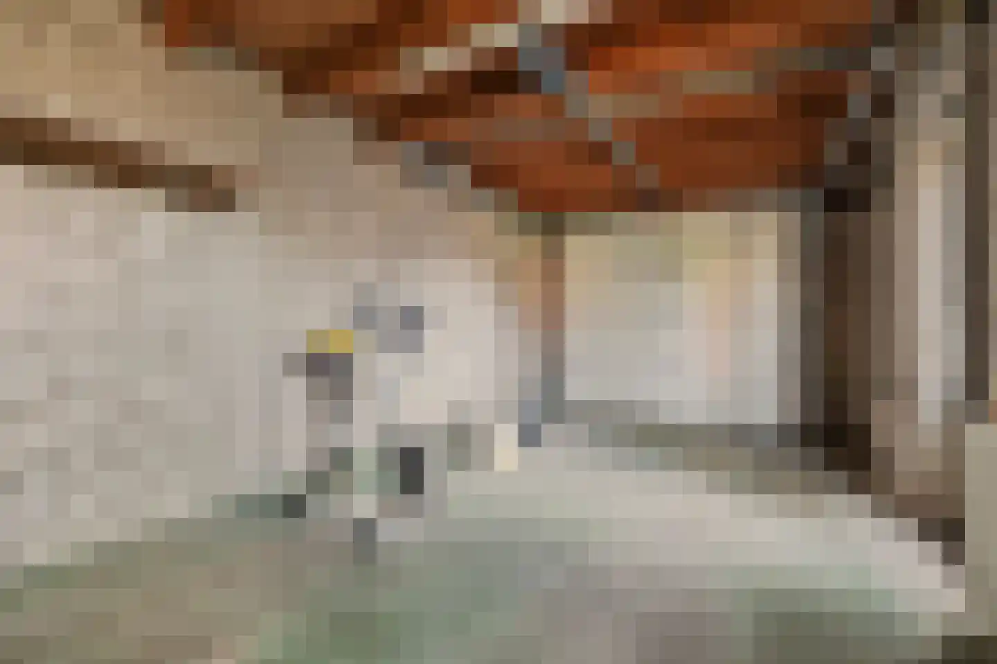 Laan van Ravenschot 4 Waspik thumbnail 23