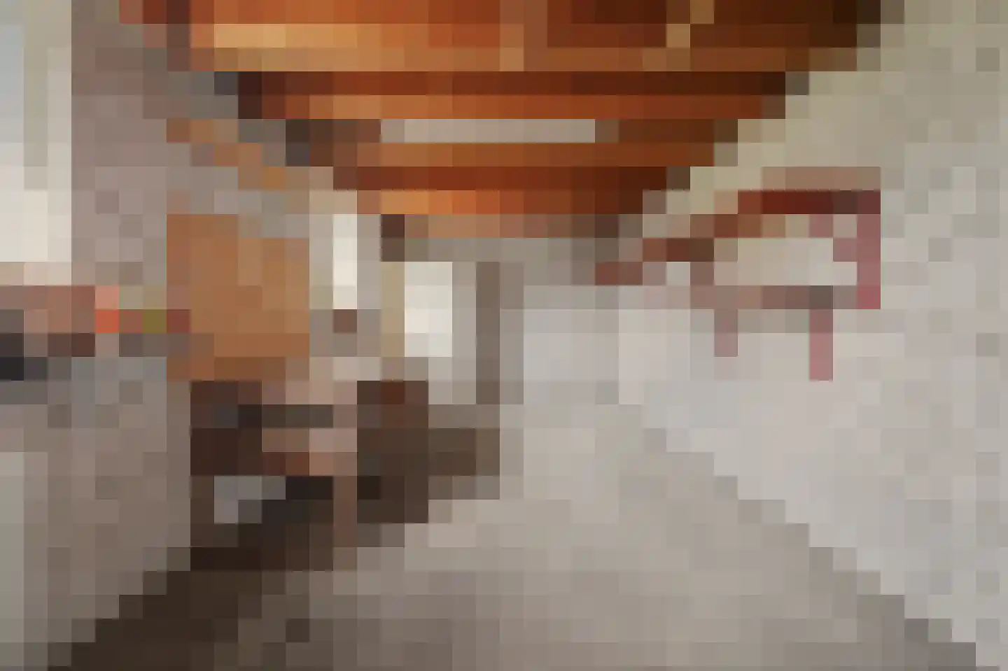 Laan van Ravenschot 4 Waspik thumbnail 25