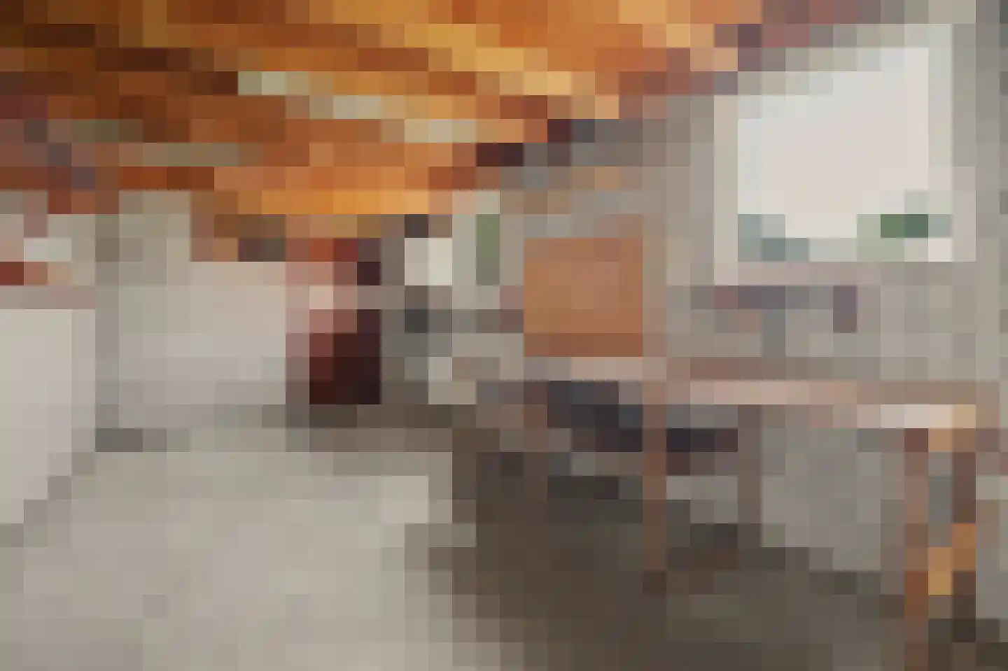 Laan van Ravenschot 4 Waspik thumbnail 26