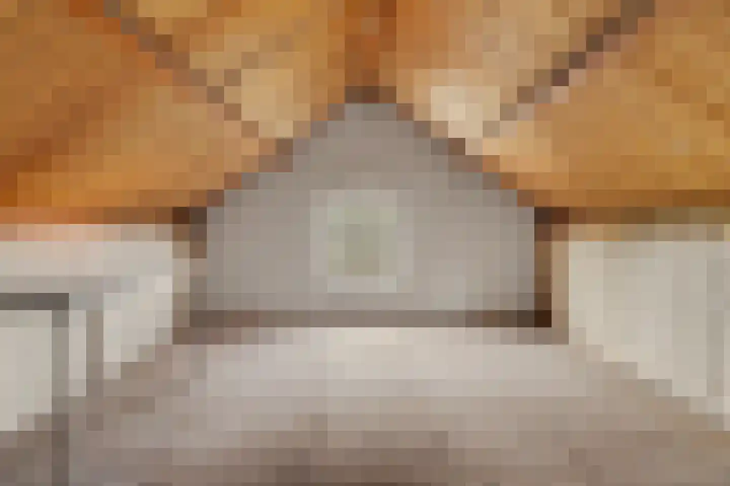 Laan van Ravenschot 4 Waspik thumbnail 34