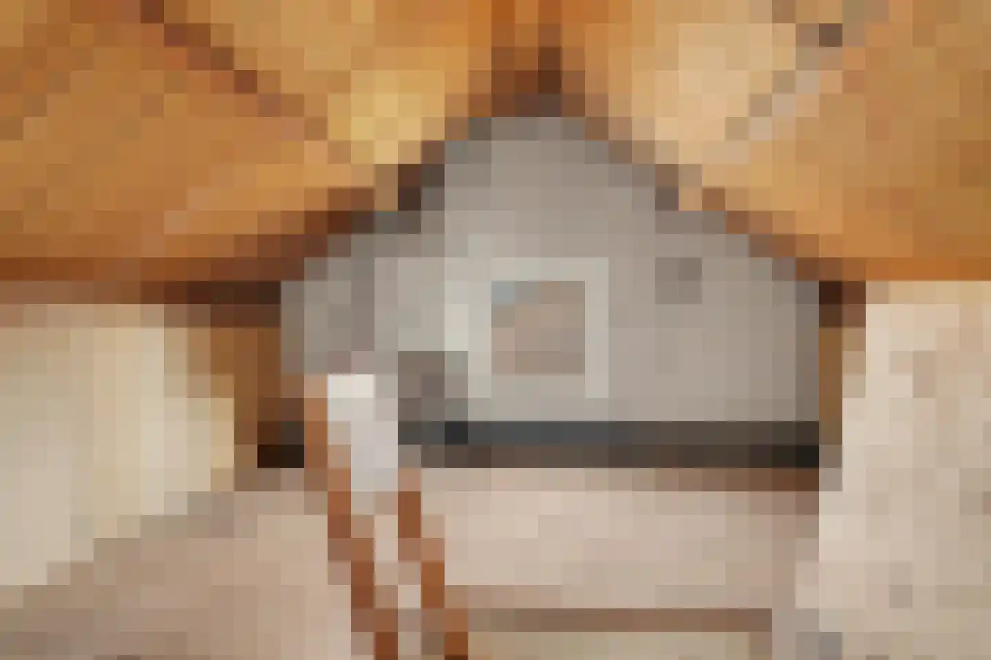 Laan van Ravenschot 4 Waspik thumbnail 35
