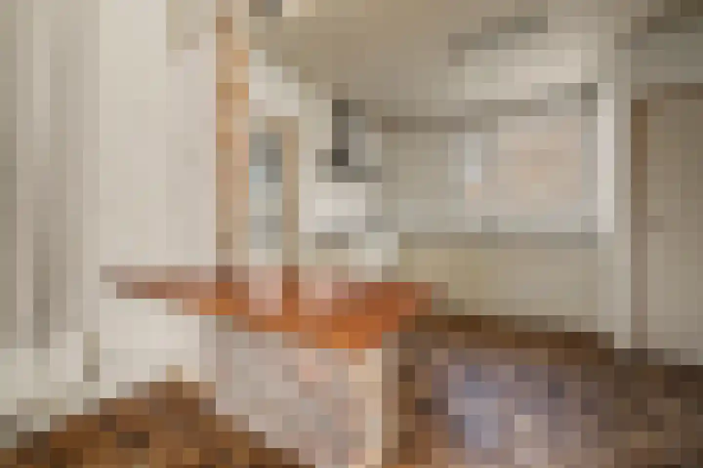 Laan van Ravenschot 4 Waspik thumbnail 4