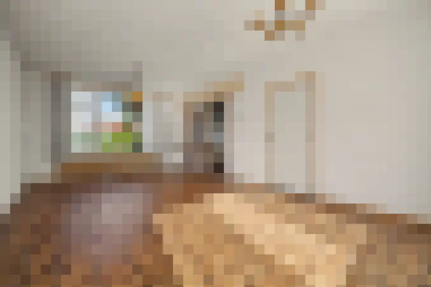 Laan van Ravenschot 4 Waspik thumbnail 7