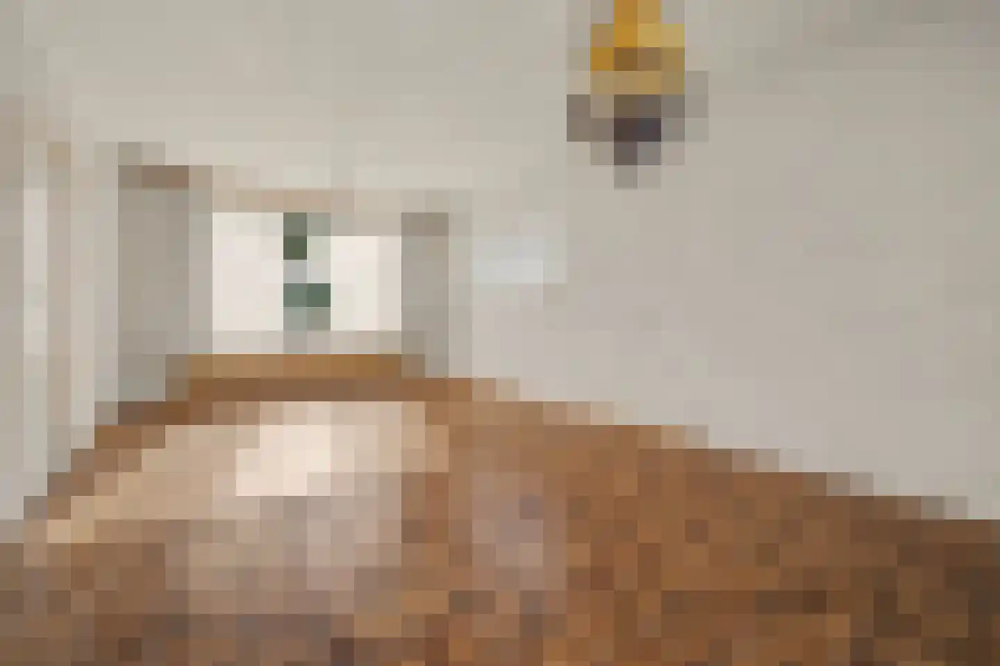 Laan van Ravenschot 4 Waspik thumbnail 8