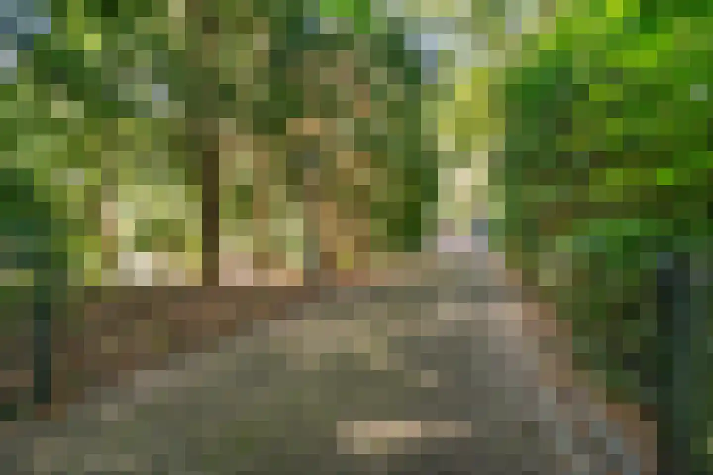 Laan van Rhemen van Rhemenshuizen 1 A Wassenaar thumbnail 12