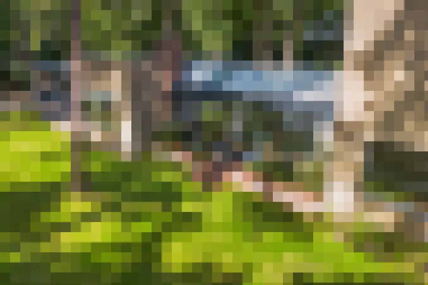 Laan van Rhemen van Rhemenshuizen 1 A Wassenaar thumbnail 13