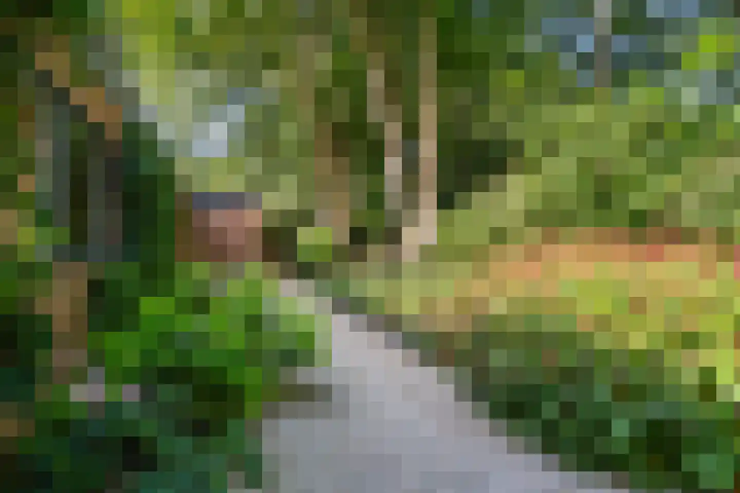 Laan van Rhemen van Rhemenshuizen 1 A Wassenaar thumbnail 16