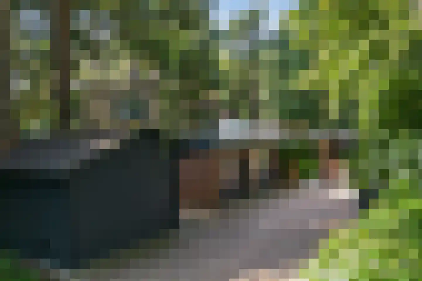 Laan van Rhemen van Rhemenshuizen 1 A Wassenaar thumbnail 17
