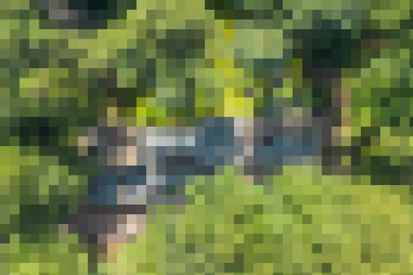 Laan van Rhemen van Rhemenshuizen 1 A Wassenaar thumbnail 19