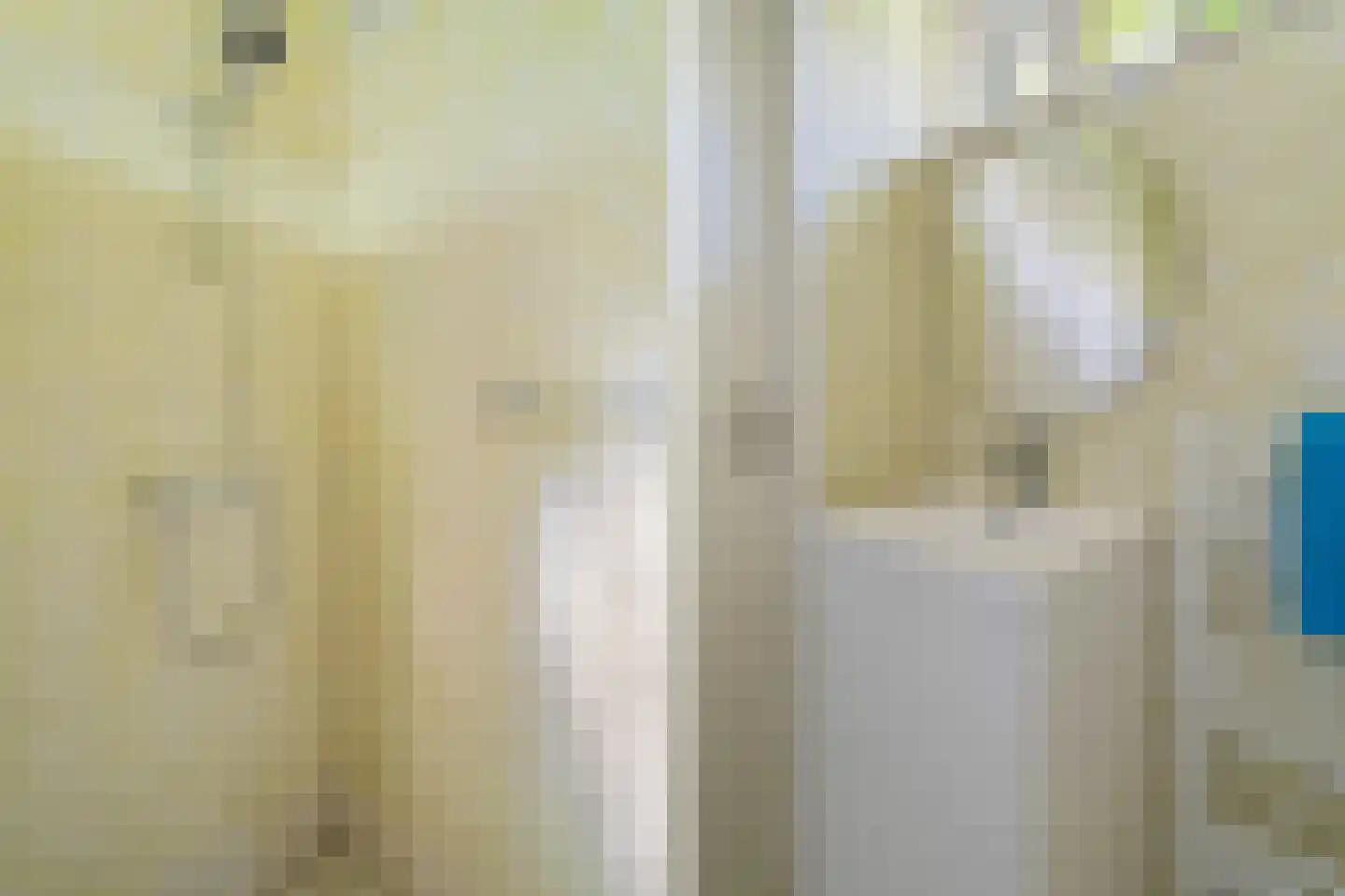 Laan van Rhemen van Rhemenshuizen 1 A Wassenaar thumbnail 48