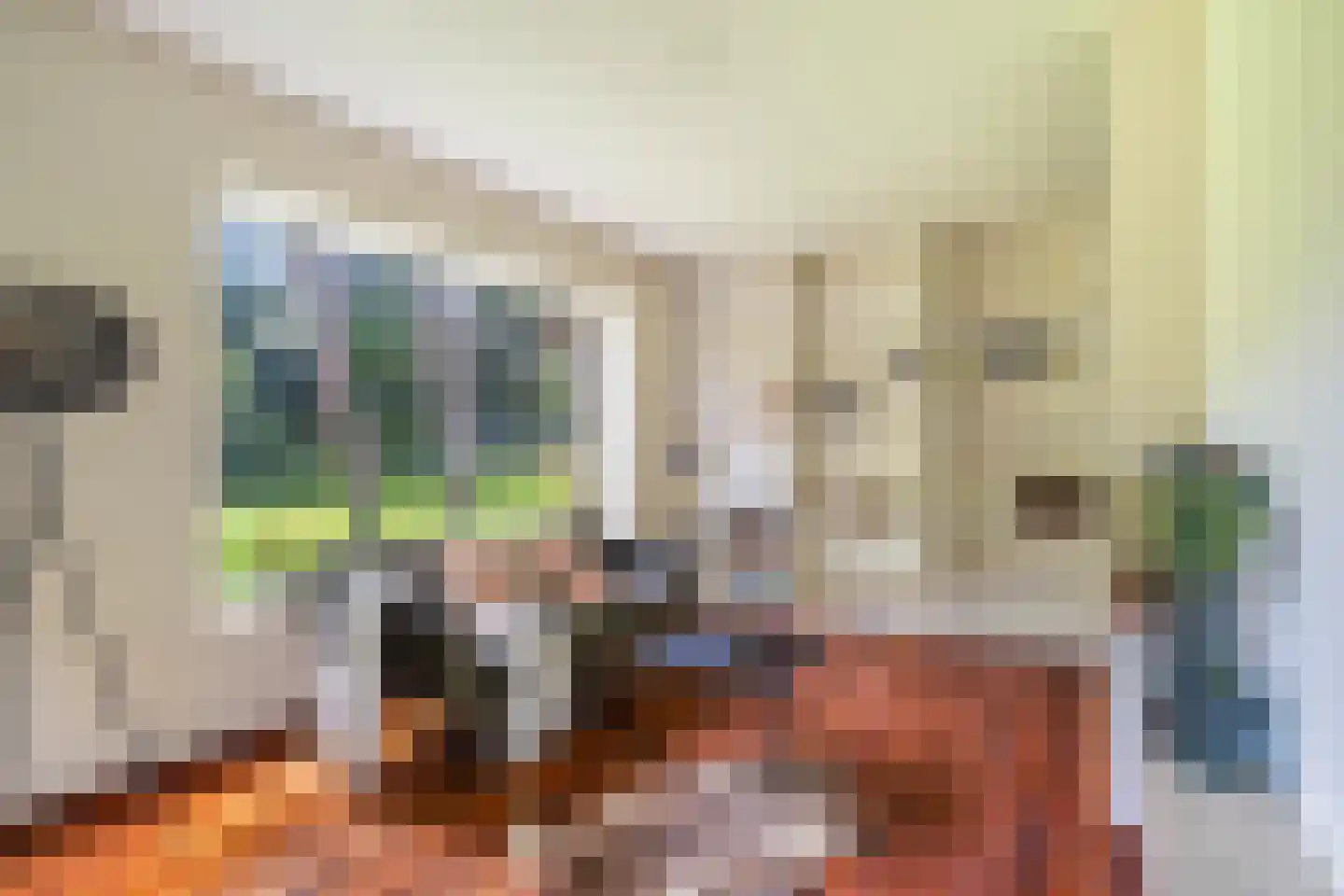 Laan van Rhemen van Rhemenshuizen 1 A Wassenaar thumbnail 50
