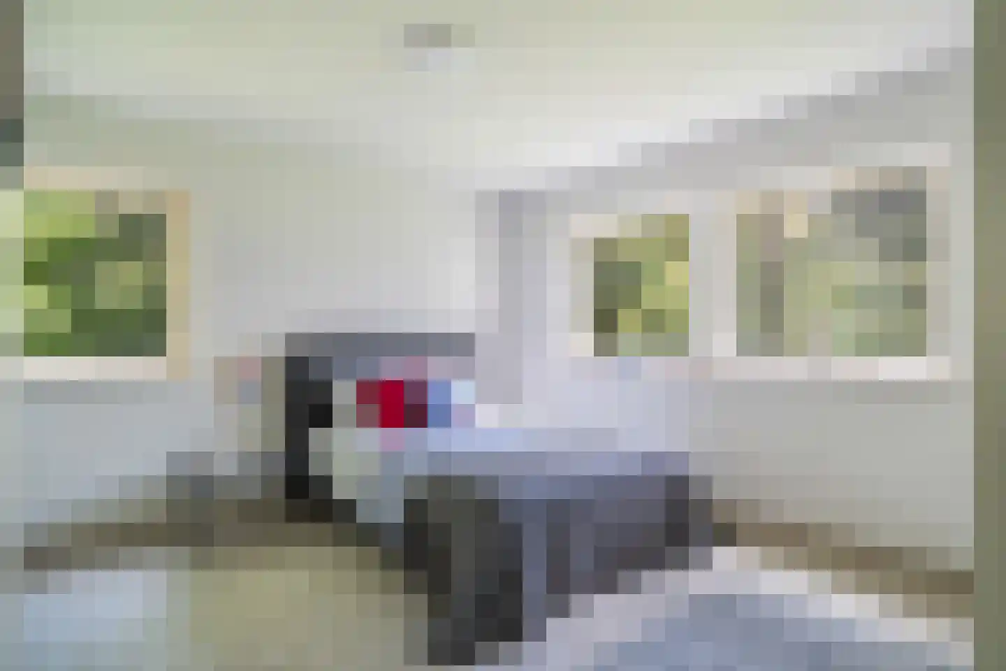 Laan van Rhemen van Rhemenshuizen 1 A Wassenaar thumbnail 53