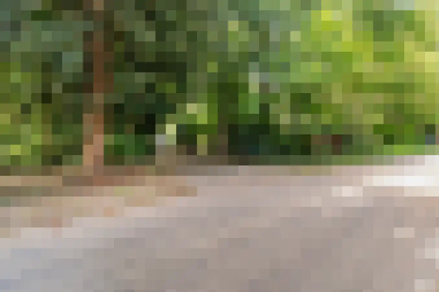 Laan van Rhemen van Rhemenshuizen 1 A Wassenaar thumbnail 57