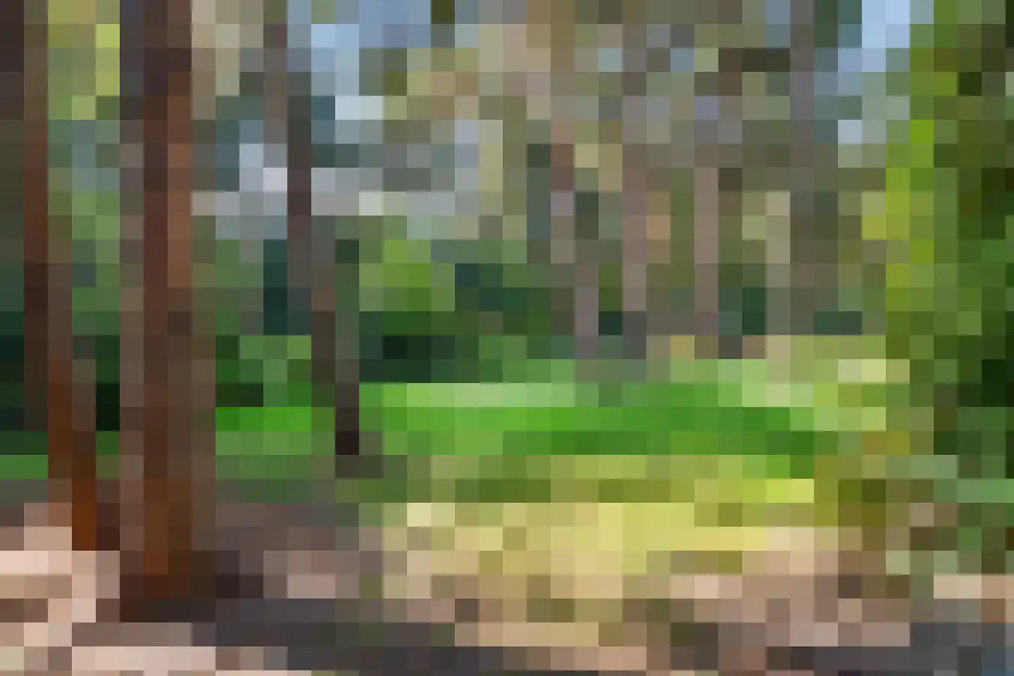 Laan van Rhemen van Rhemenshuizen 1 A Wassenaar thumbnail 60