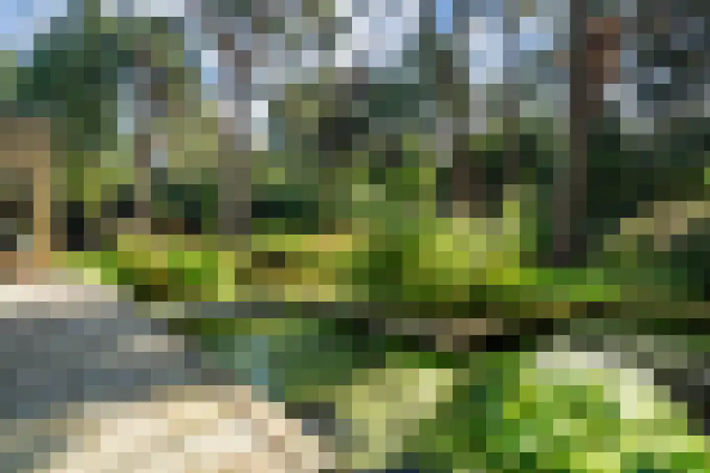 Laan van Rhemen van Rhemenshuizen 1 A Wassenaar thumbnail 61