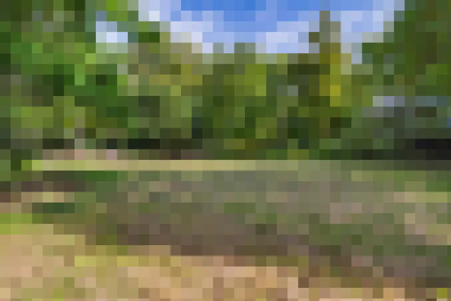 Laan van Rhemen van Rhemenshuizen 1 A Wassenaar thumbnail 64