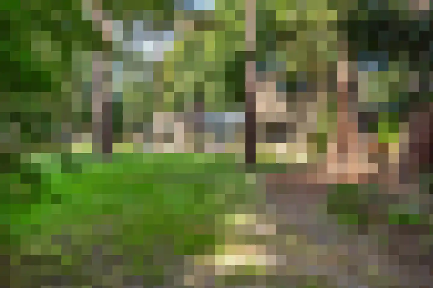 Laan van Rhemen van Rhemenshuizen 1 A Wassenaar thumbnail 67