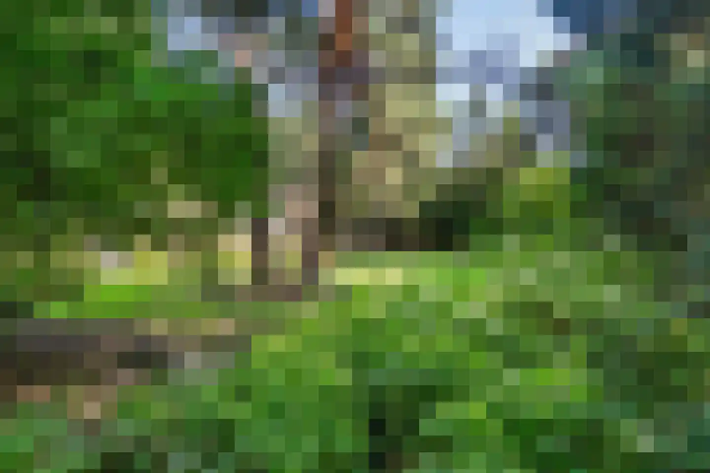 Laan van Rhemen van Rhemenshuizen 1 A Wassenaar thumbnail 68