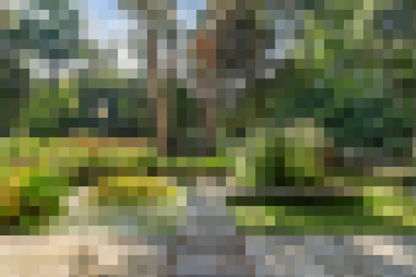Laan van Rhemen van Rhemenshuizen 1 A Wassenaar thumbnail 69