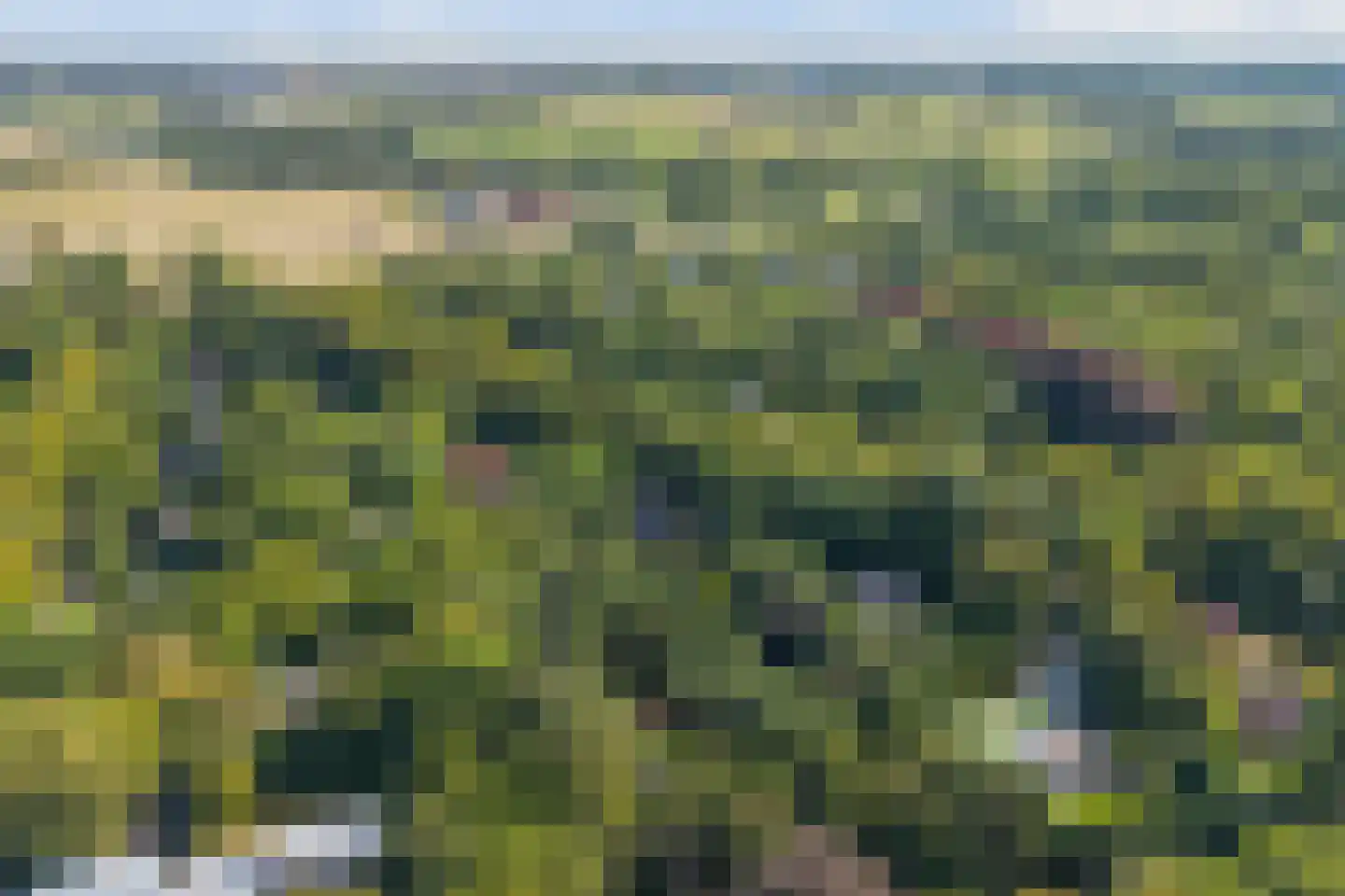 Laan van Rhemen van Rhemenshuizen 1 A Wassenaar thumbnail 70