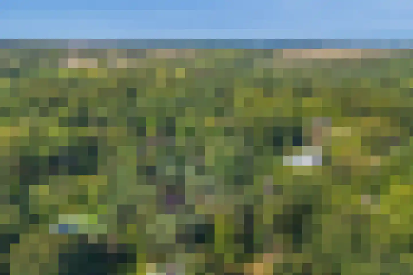 Laan van Rhemen van Rhemenshuizen 1 A Wassenaar thumbnail 9