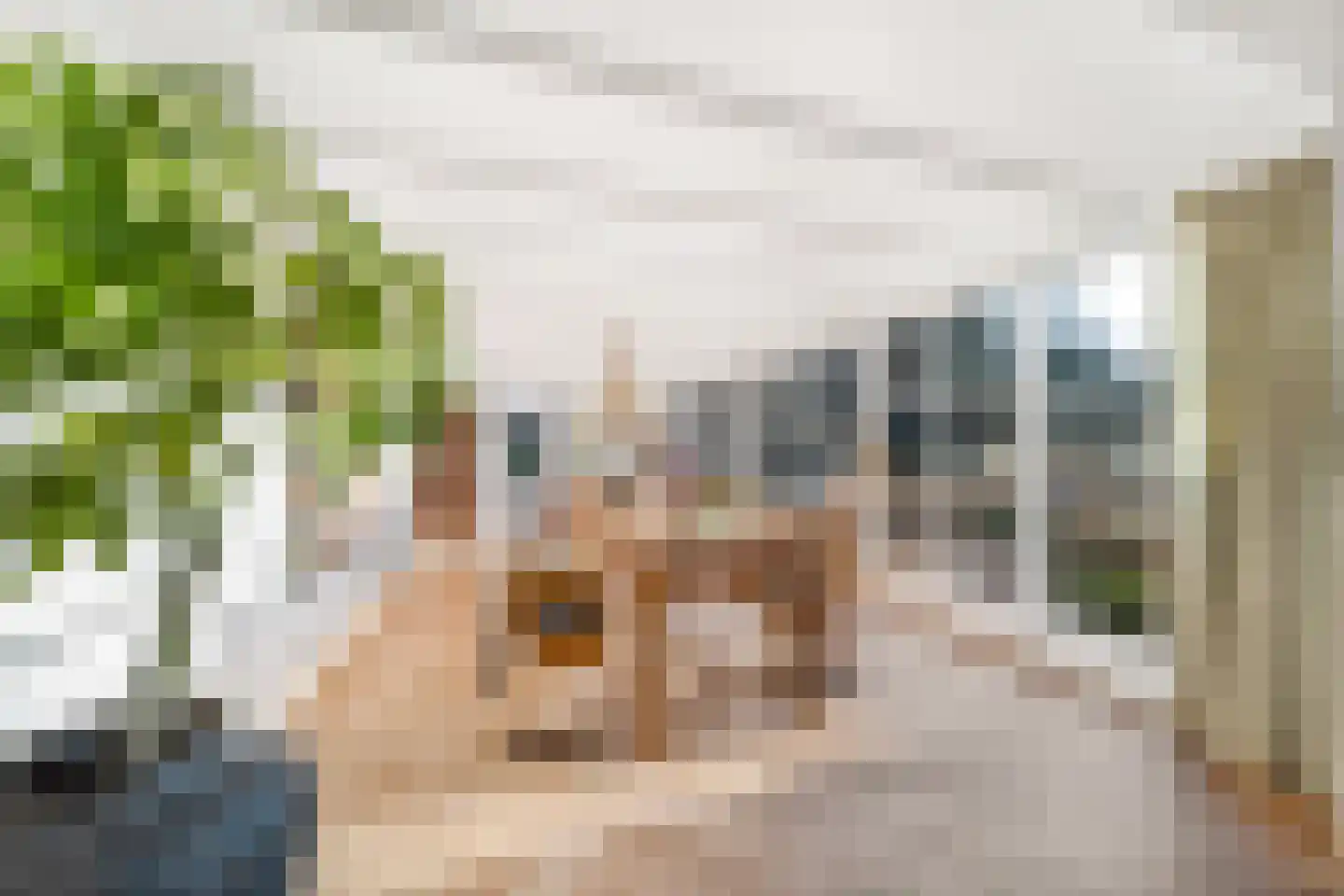 Laan van Rhemen van Rhemenshuizen 15 Wassenaar thumbnail 11