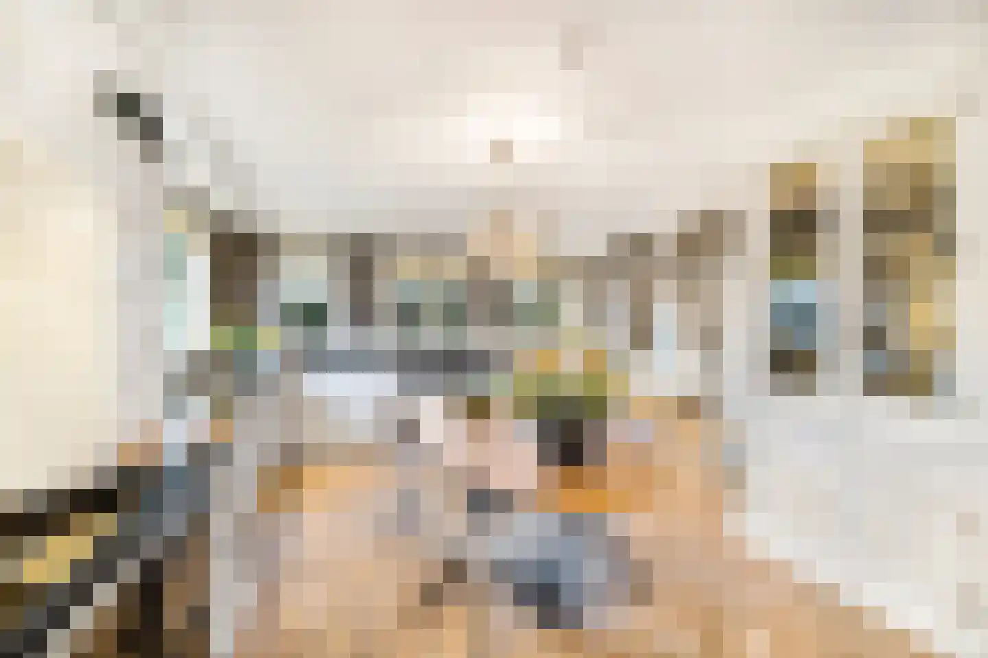Laan van Rhemen van Rhemenshuizen 15 Wassenaar thumbnail 12