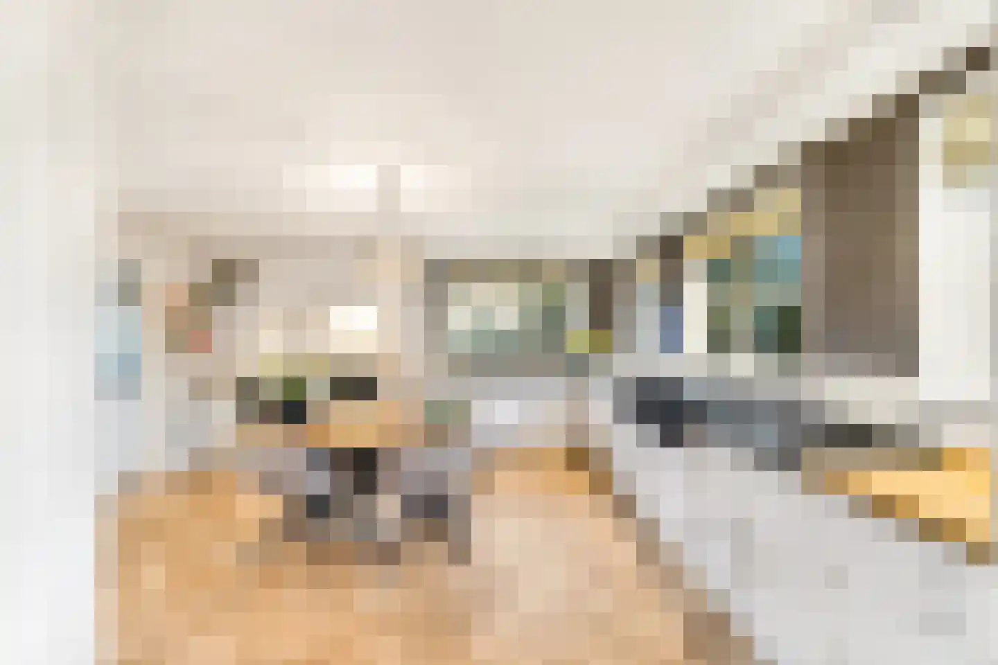 Laan van Rhemen van Rhemenshuizen 15 Wassenaar thumbnail 13
