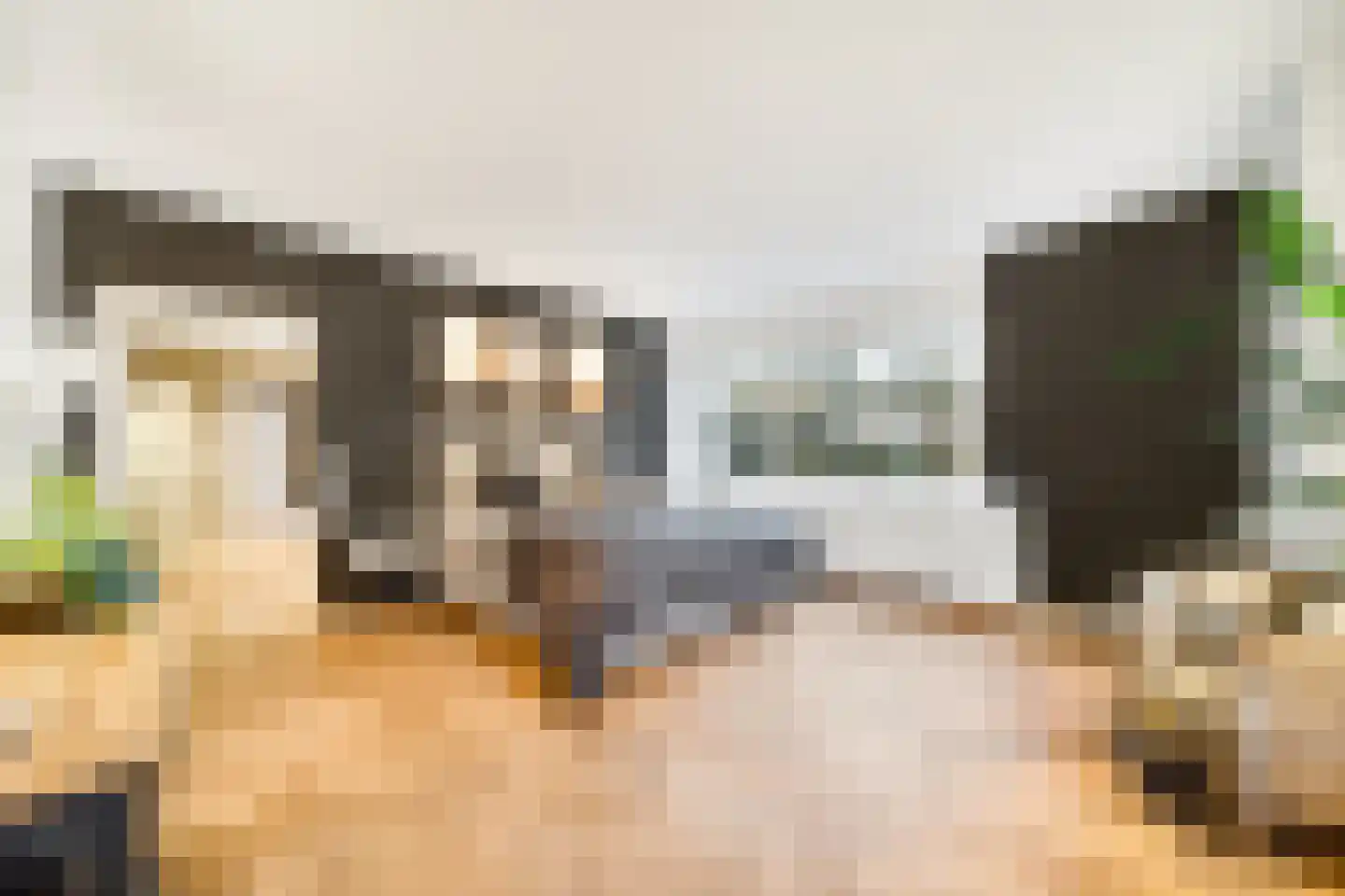 Laan van Rhemen van Rhemenshuizen 15 Wassenaar thumbnail 15
