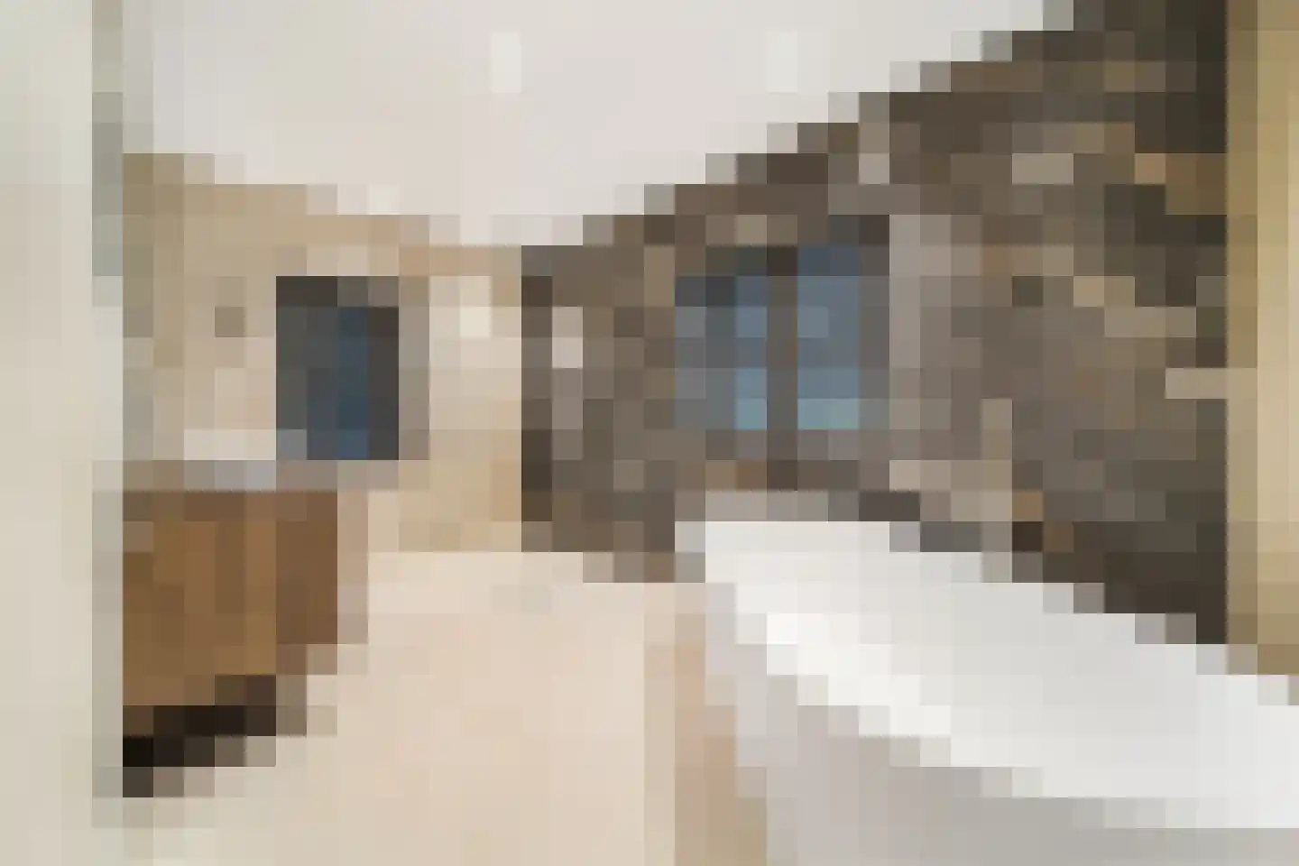 Laan van Rhemen van Rhemenshuizen 15 Wassenaar thumbnail 16