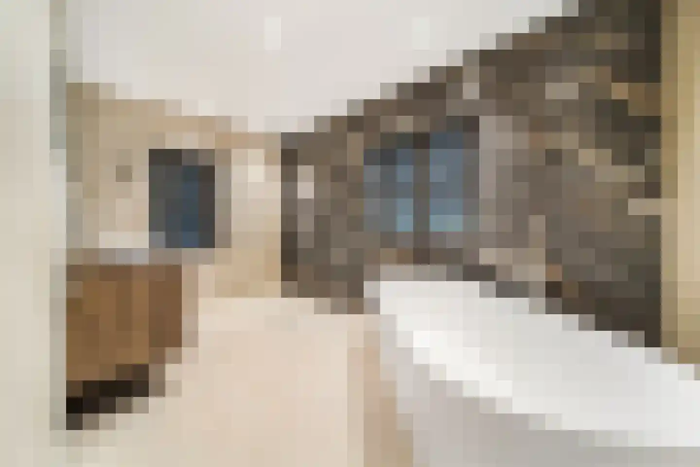 Laan van Rhemen van Rhemenshuizen 15 Wassenaar thumbnail 16