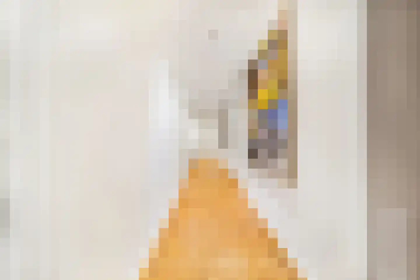 Laan van Rhemen van Rhemenshuizen 15 Wassenaar thumbnail 17