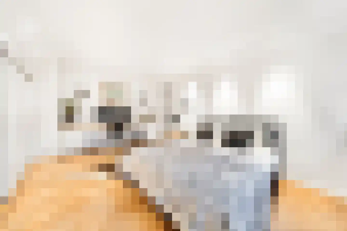 Laan van Rhemen van Rhemenshuizen 15 Wassenaar thumbnail 19