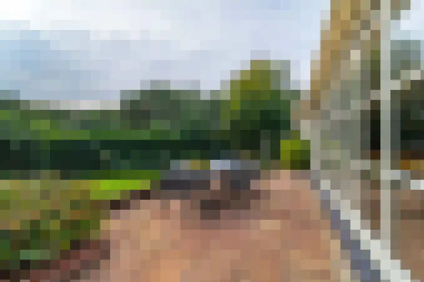 Laan van Rhemen van Rhemenshuizen 15 Wassenaar thumbnail 27