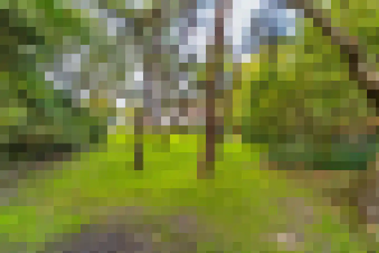 Laan van Rhemen van Rhemenshuizen 15 Wassenaar thumbnail 30