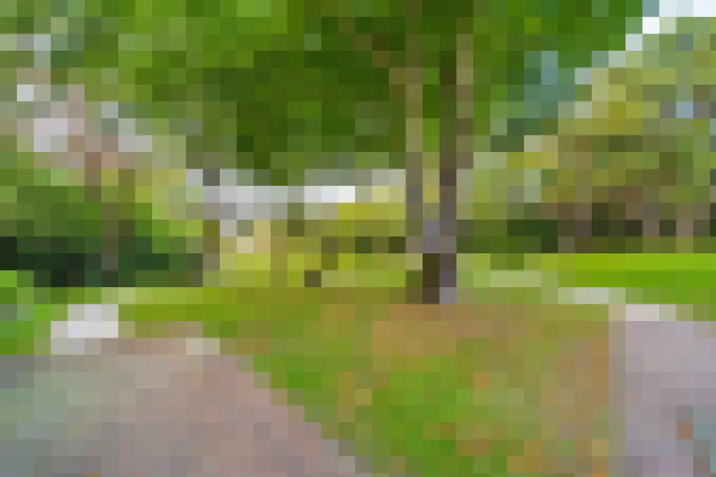 Laan van Rhemen van Rhemenshuizen 15 Wassenaar thumbnail 32