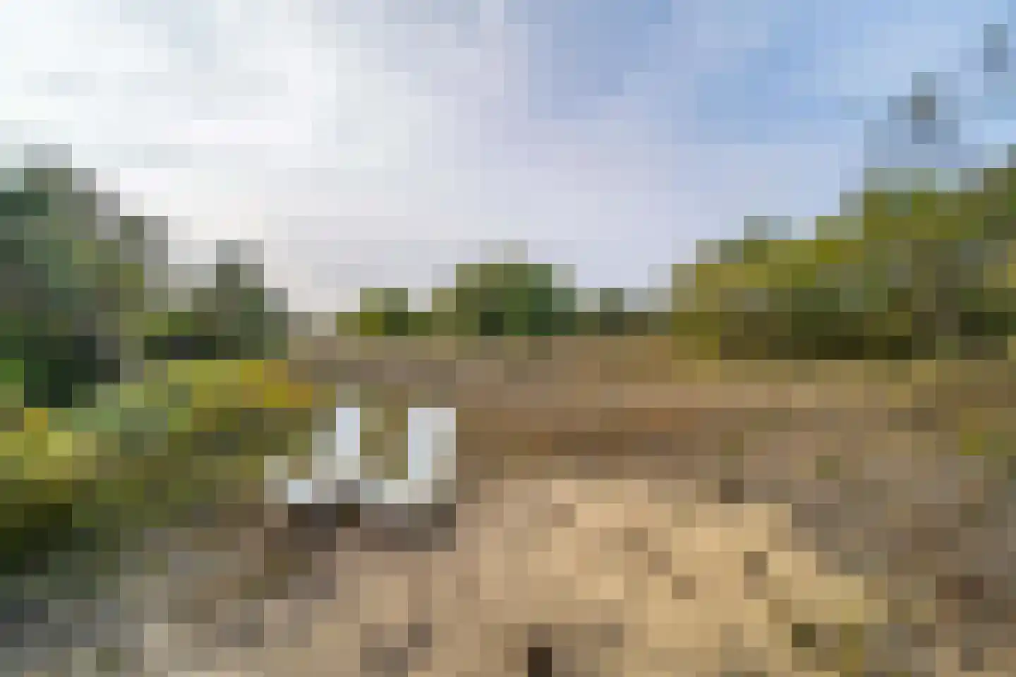 Laan van Rhemen van Rhemenshuizen 15 Wassenaar thumbnail 36