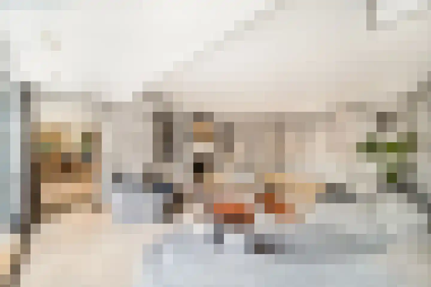 Laan van Rhemen van Rhemenshuizen 15 Wassenaar thumbnail 9