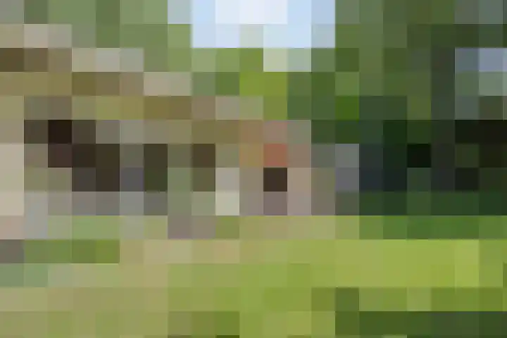 Laan van Rhemen van Rhemenshuizen 3 Wassenaar thumbnail 10