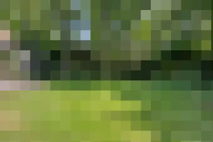 Laan van Rhemen van Rhemenshuizen 3 Wassenaar thumbnail 11