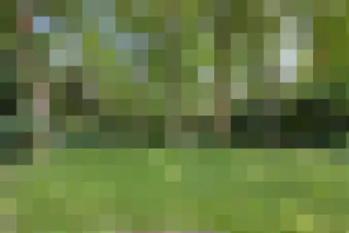 Laan van Rhemen van Rhemenshuizen 3 Wassenaar thumbnail 12