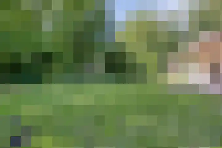 Laan van Rhemen van Rhemenshuizen 3 Wassenaar thumbnail 13