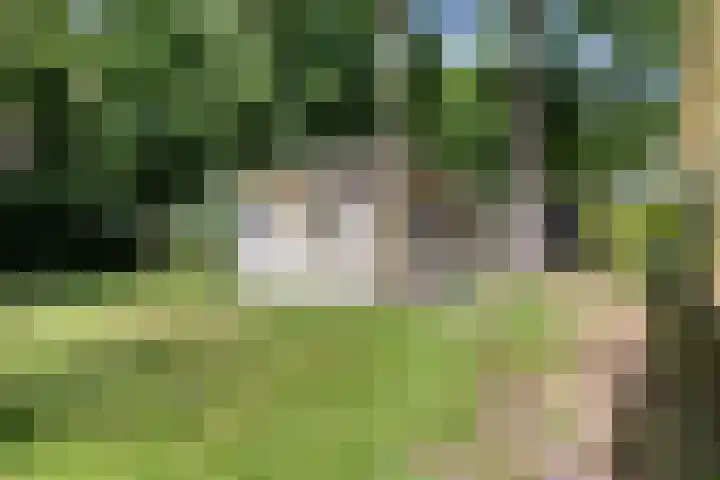 Laan van Rhemen van Rhemenshuizen 3 Wassenaar thumbnail 14