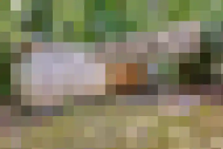 Laan van Rhemen van Rhemenshuizen 3 Wassenaar thumbnail 15