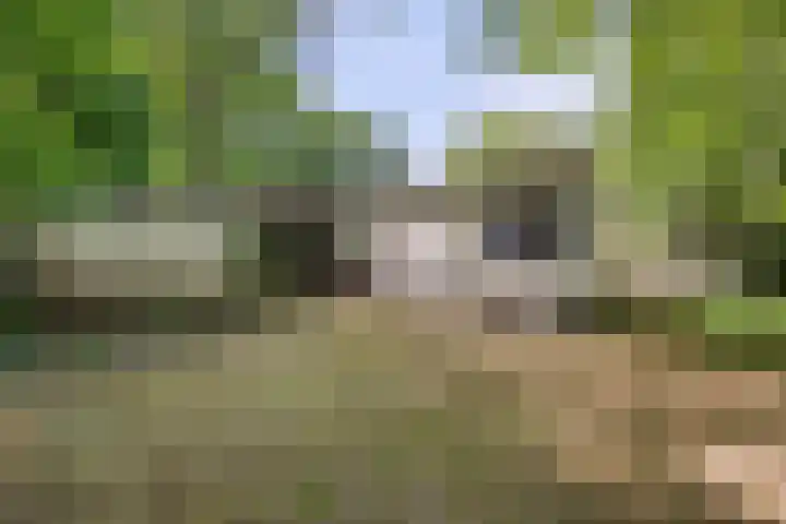 Laan van Rhemen van Rhemenshuizen 3 Wassenaar thumbnail 16